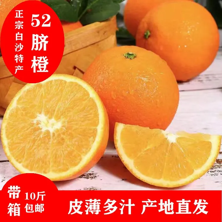 十斤福建闽侯特产白沙52号脐橙皮薄肉嫩无渣多汁精选水果