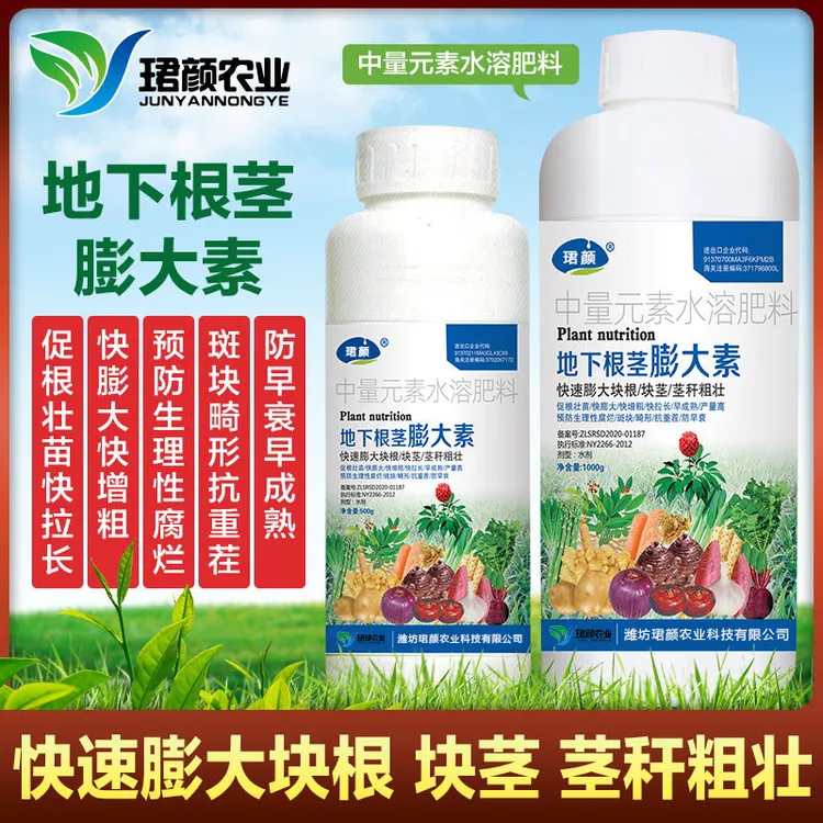 珺颜地下根茎块茎膨大剂土豆红薯马铃薯大蒜姜药材作物通用