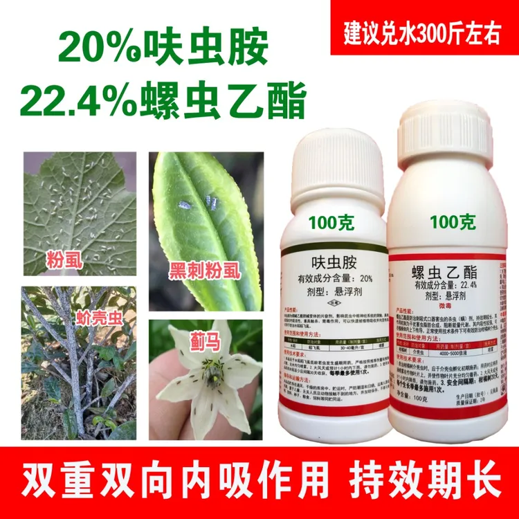 螺虫乙酯呋虫胺 黑刺粉虱 白粉虱  蚧壳虫 蚜虫 强内吸 正打反死