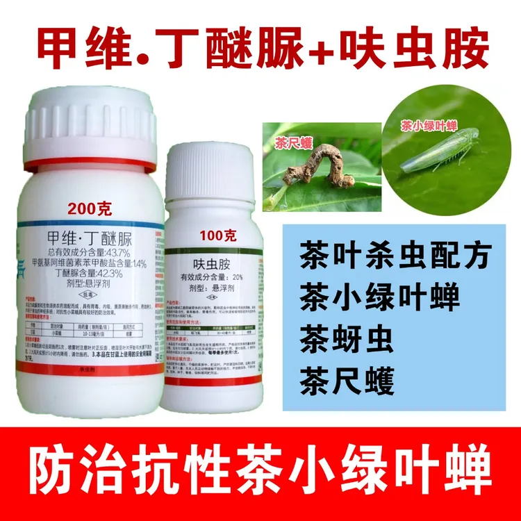 甲维丁醚脲呋虫胺组合 高效防治茶小绿叶蝉 茶尺蠖等多种茶树害虫