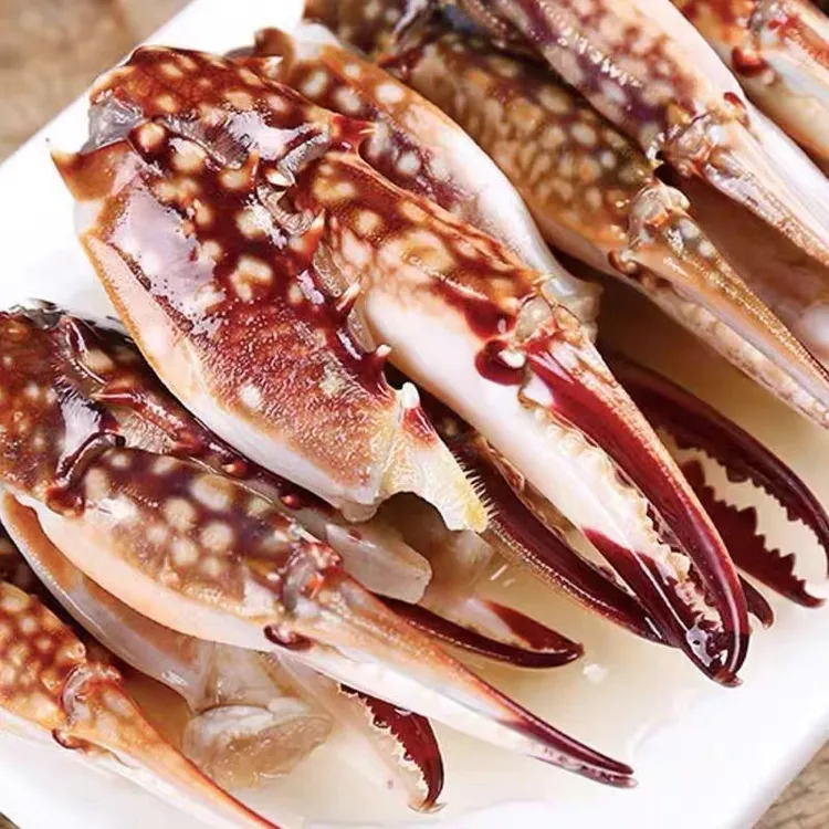 鲜活梭子蟹蟹钳 梭子蟹脚 20-30只/斤 连云港发货新鲜冷冻