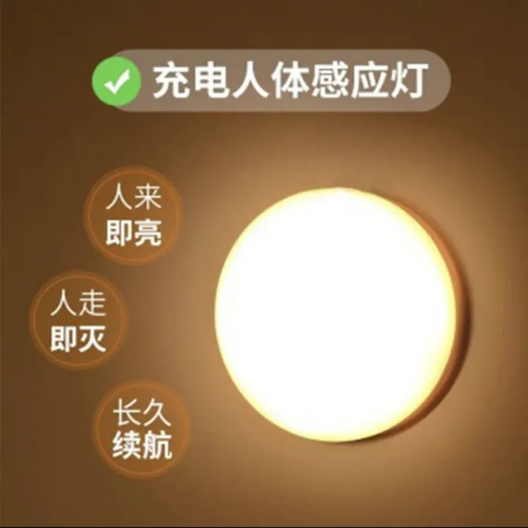 LED智能人体感应灯人来即亮感应衣橱灯玄关楼梯灯USB充电式夜灯