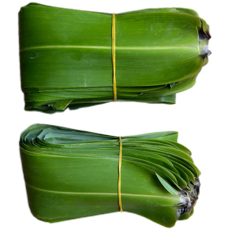 每天现摘现发 广西天然新鲜粽叶大号 包粽子专用粽叶