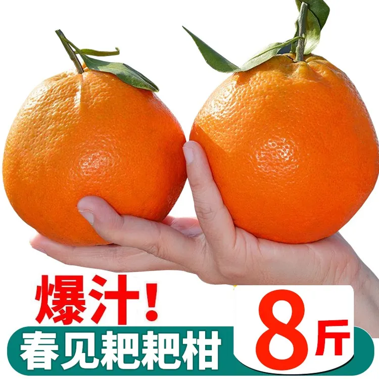 四川春见耙耙柑新鲜水果整箱当季包邮丑八怪耙耙桔橘子不知火8斤5