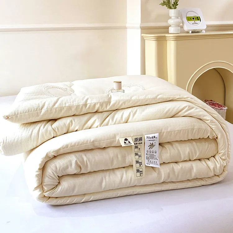【破冰专属】A类大豆纤维被子冬被芯春秋单人双人宿舍保暖被松驰感