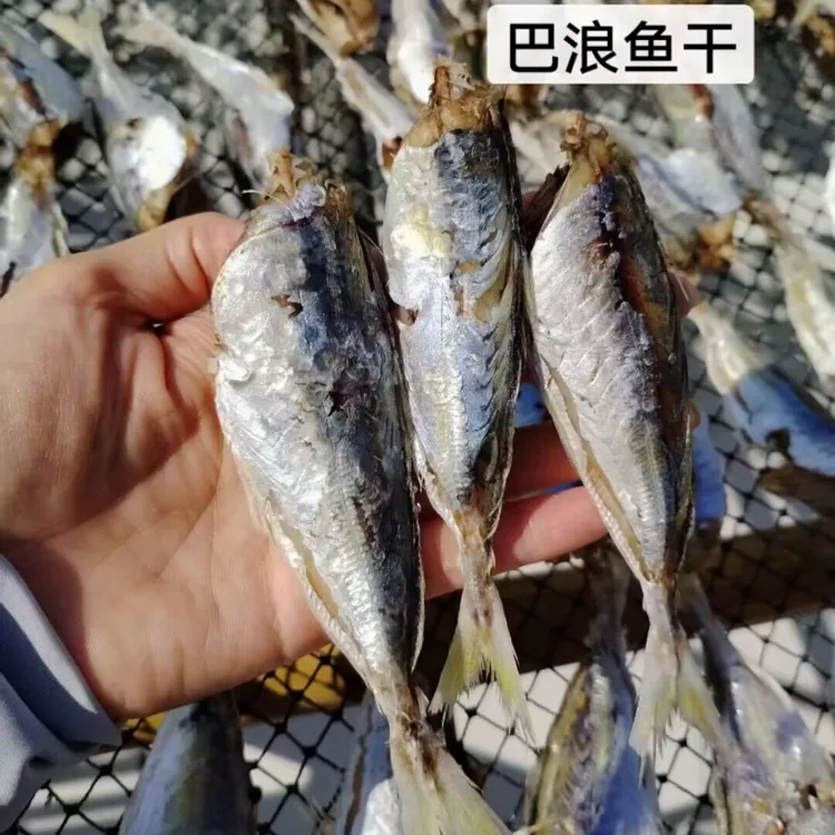 汕尾本港巴浪鱼干熟鱼干小海鱼干海鲜干货自晒(淡囗味)