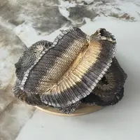 【玉姐精选】特大号断片膨 鱼 筛 清水足干（花鳃）