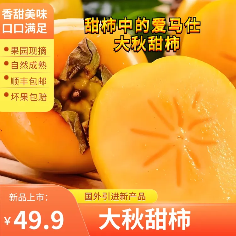 山西临猗大秋甜柿国外引进新产品果园种植水润甜糯