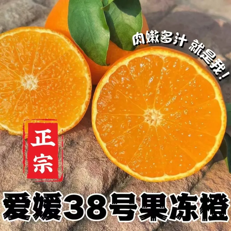 【产地直发】正宗爱媛38号果冻橙手剥橙皮薄多汁【现摘现发】汁水充足