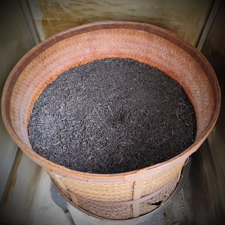 纯手工传统炭焙乌龙茶，茶叶，炭焙凤凰单丛鸭屎香浓香型