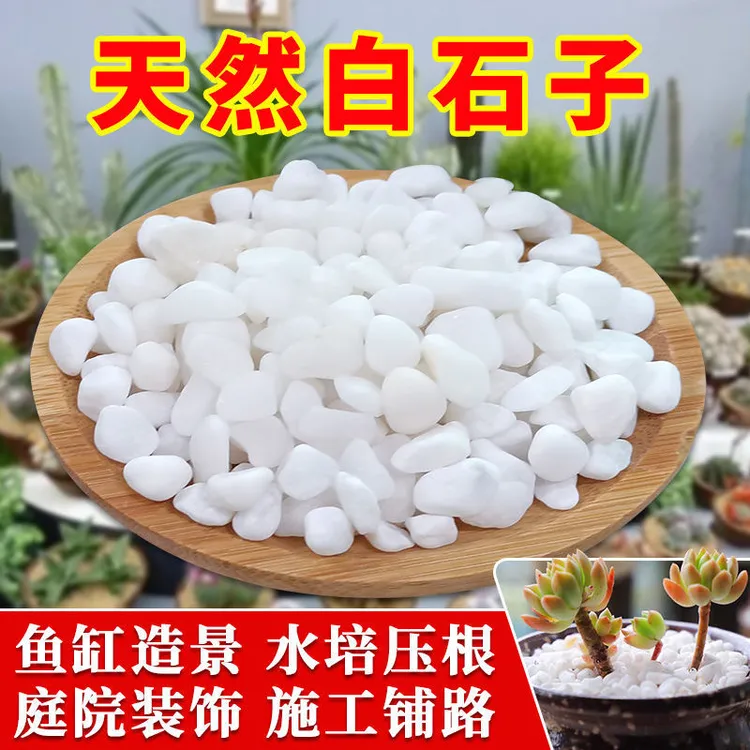 白石多肉铺面石白石子花盆装饰石子园艺鱼缸铺底造景特价白色石头