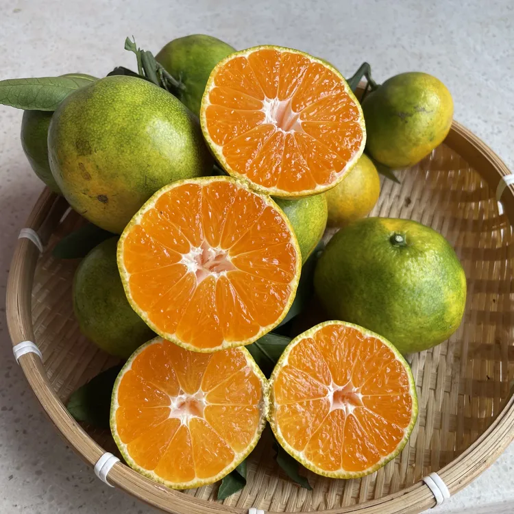 正宗易家河山上蜜桔新鲜应季水果桔子10斤京东包邮香甜细腻