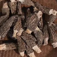 高山 农家 林下羊肚菌