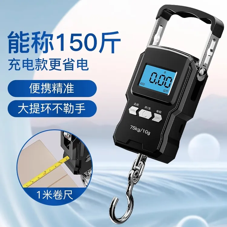 扶摇生活家用高精度手提电子秤小型家用弹簧秤手拿随身精准去皮秤