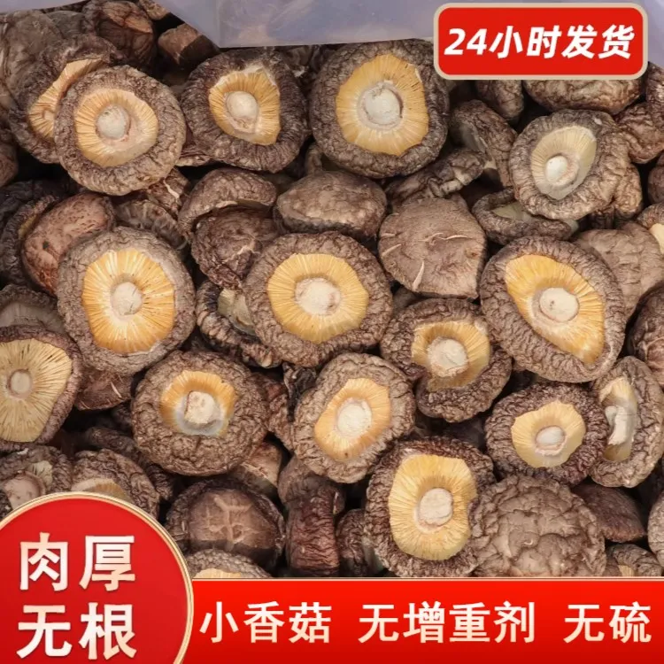 新鲜香菇干货无干燥剂散装商用250g新货干香菇肉厚菌菇蘑菇