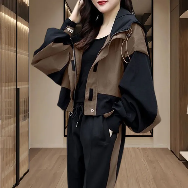 2025春秋季新款运动服两件套女士连帽宽松束脚裤百搭显瘦休闲套装