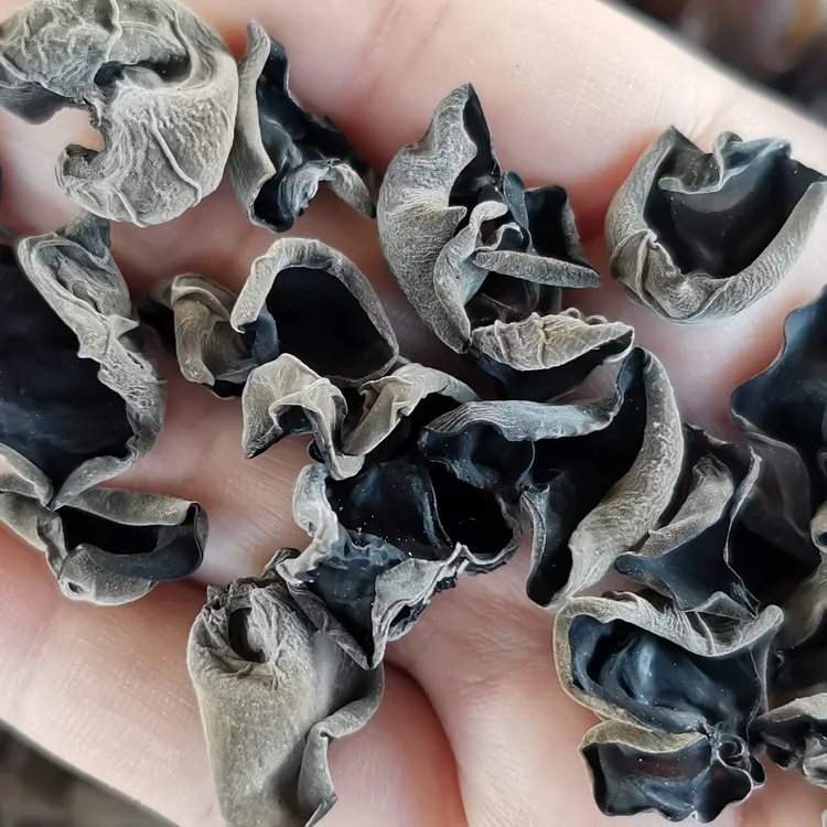 2025年东北伊春头茬黑木耳新货干货产地直采无根肉厚无加工不增重