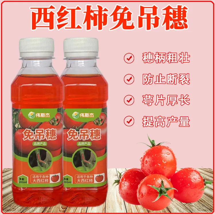 西红柿免吊穗强力增粗穗柄防断裂番茄专用防裂进口正品原装浓缩