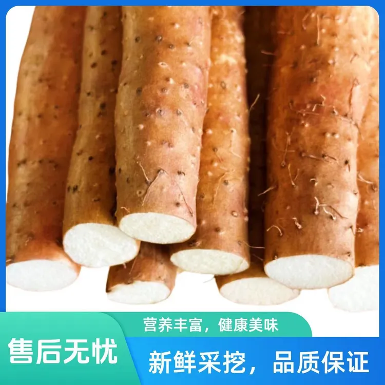 原产地铁棍品质软糯香甜直发自产销营养正宗怀山药天然健康新鲜