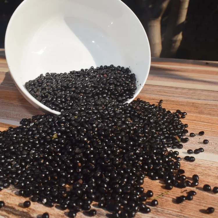 新鲜花椒籽泡脚/味鸽子大红袍花椒籽250g500g五斤