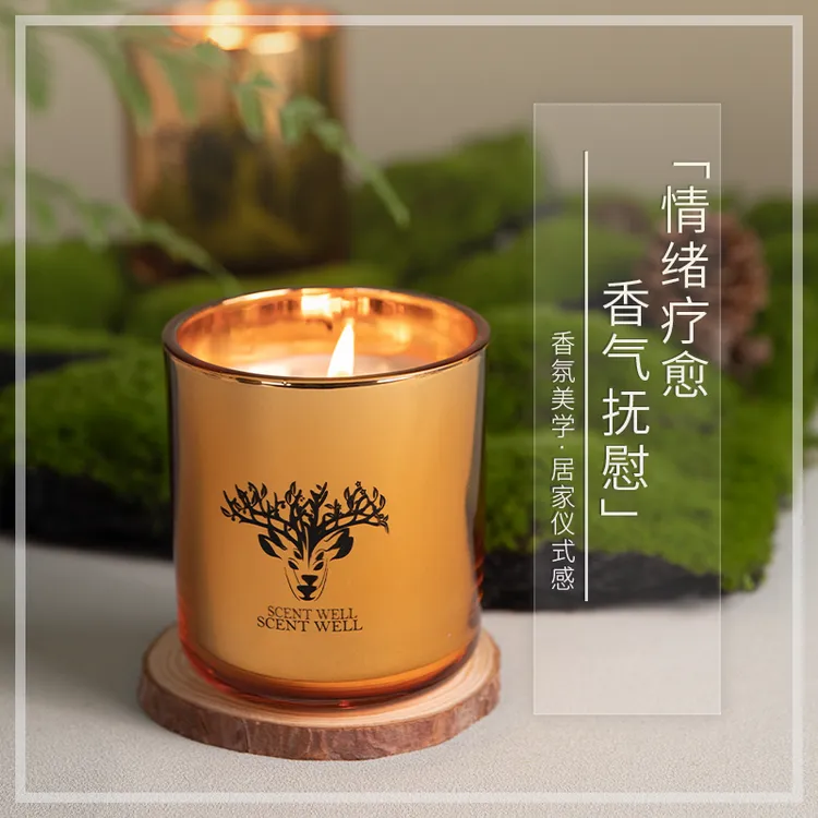 瀾派香薰蜡烛植物精油大豆蜡无烟香氛蜡烛香薰圣诞节礼物小众薰香