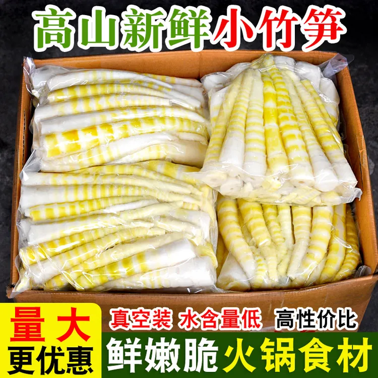 脆嫩高品质四川去壳小竹笋新鲜笋尖清水笋火锅笋批发商用