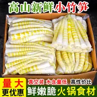 四川高山去壳小竹笋新鲜1/2/4斤装笋尖清水笋脆嫩火锅笋清水笋
