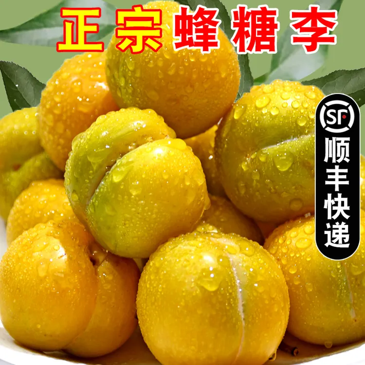 新鲜正宗蜂糖李应季水果蜂蜜李子脱骨李子新鲜香甜3斤/5斤