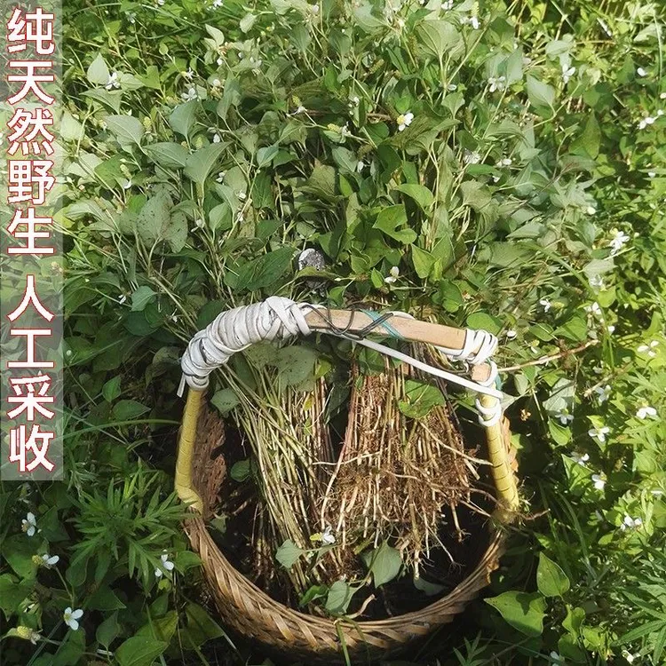 鱼腥草包邮新货鱼腥草晒干无硫鱼腥草茶折耳根干品500克250克