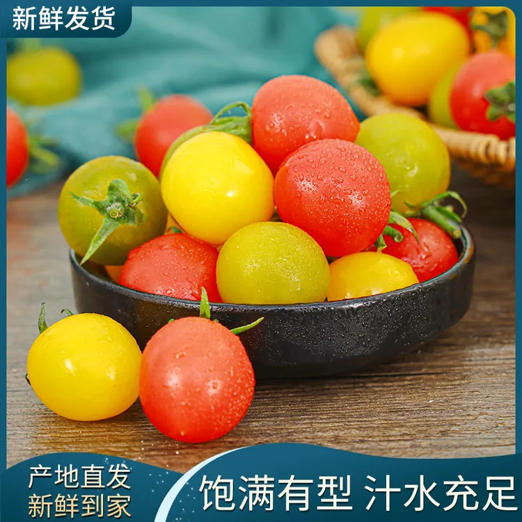 【顺丰包邮】山东寿光三色小番茄皮薄多汁产地直发新鲜水果