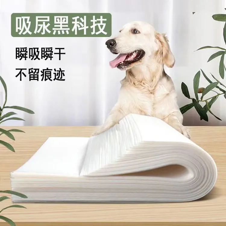 【粉丝专享】宠物吸尿纸