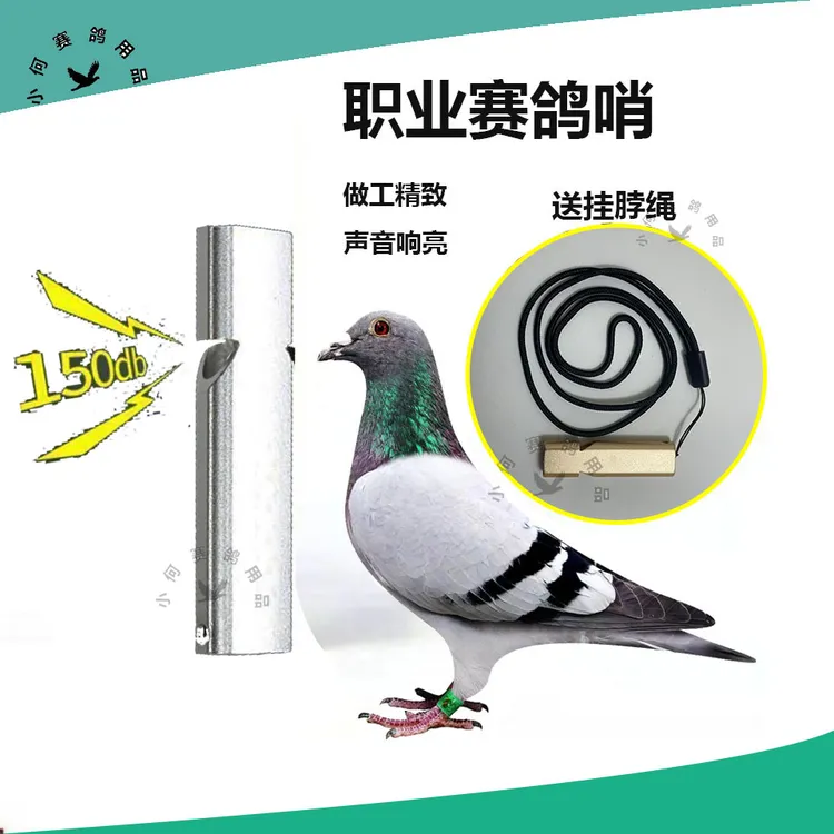 赛鸽用具双孔训鸽哨入棚信号哨子职业养鸽人博翔塑料鸽哨
