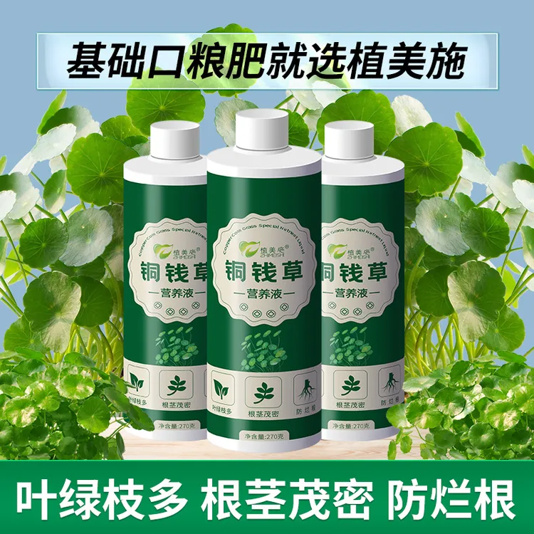 植美施水培土培铜钱草植物营养液专用型增绿促长生根肥料阳台养花