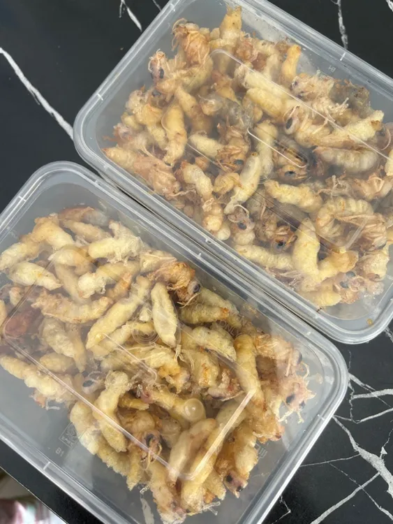 新鲜现炸土蜂蜂蛹（一二级）