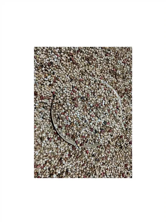 裕冠祥精品幼鸽粮营养均衡，赛鸽子舌尖上的美味