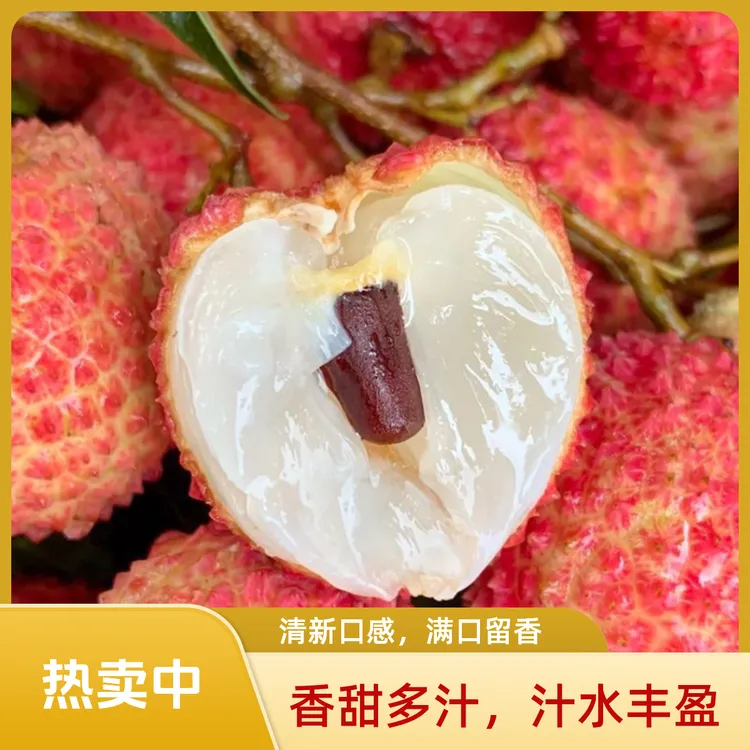 广东桂味荔枝新鲜水果应季荔枝核小多汁果园现摘整箱发货