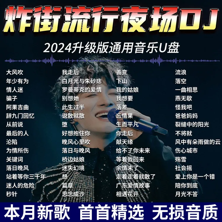 流行高品质车载U盘热门2024精选情歌即插即用新款高品质通用车型
