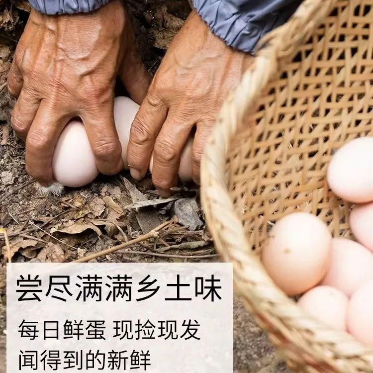 【禽蛋】正宗新鲜农村散养土鸡蛋盒装现采现发新鲜土鸡蛋