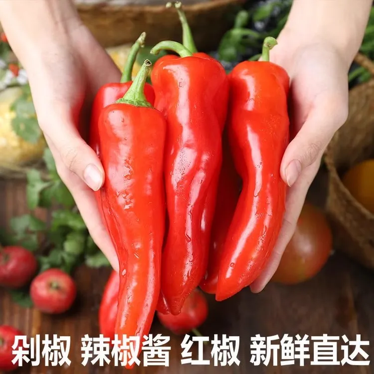 农家新鲜鲜红辣椒大红尖椒泡椒微辣美人椒剁椒蔬菜红菜红椒3斤5斤