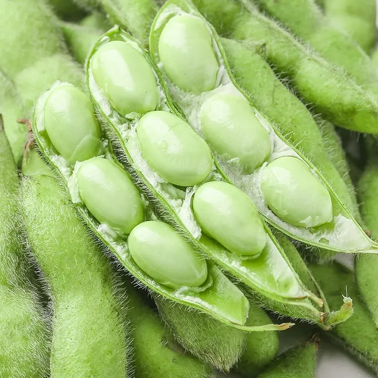 [发顺丰】新鲜饱满毛豆现摘农家蔬菜带壳新鲜毛豆新鲜嫩豆粒毛豆