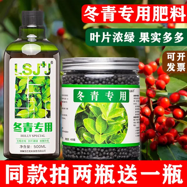 冬青树专用肥北美冬青营养液肥料冬青营养液四季喷叶铁冬青有机肥