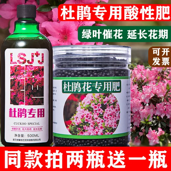 杜鹃花有机营养液盆栽四季开花肥料专用肥酸性颗粒家用紫色映山红