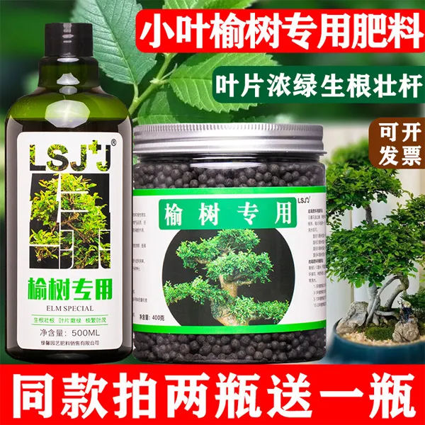 小叶榆树盆景专用肥榔榆榆钱营养液白榆喷叶肥春榆有机肥料复合肥