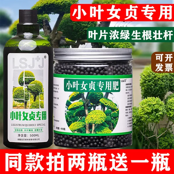 小叶女贞专用肥小叶水蜡树肥料营养液颗粒肥有机肥肥老桩四季常青