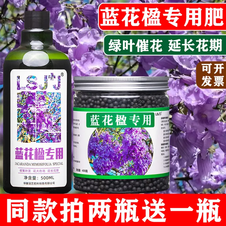 蓝花楹专用肥料营养液家庭园艺室内树苗盆栽地栽催花绿叶有机肥料