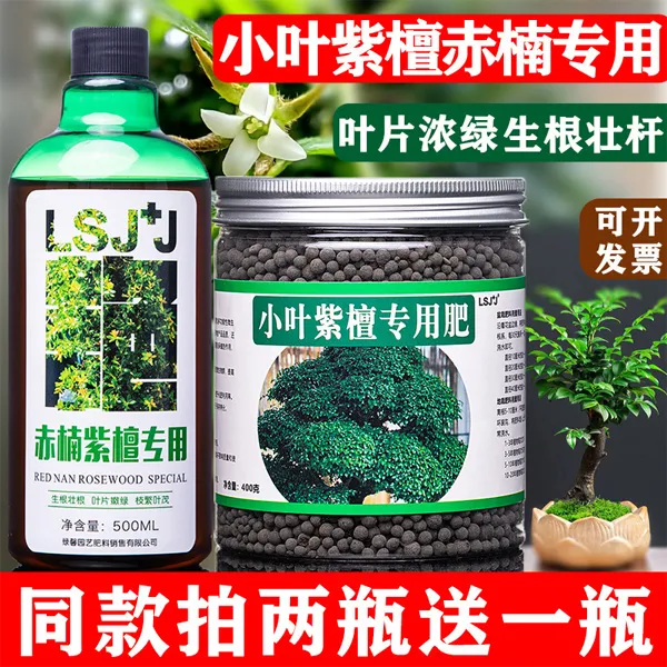 小叶紫檀赤楠盆景肥料专用肥黑骨茶紫檀青檀营养液有机颗粒缓释肥