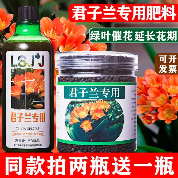 君子兰专用肥料营养液家用兰花养花有机肥料盆栽通用型促开花催花