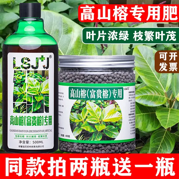高山榕专用肥富贵榕肥料大型榕树营养液榕树须复合肥有机肥缓释肥