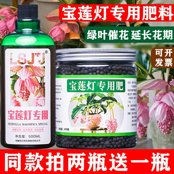 宝莲灯专用肥宝莲花肥料营养液珍珠宝石莲灯花有机复合颗粒缓释肥