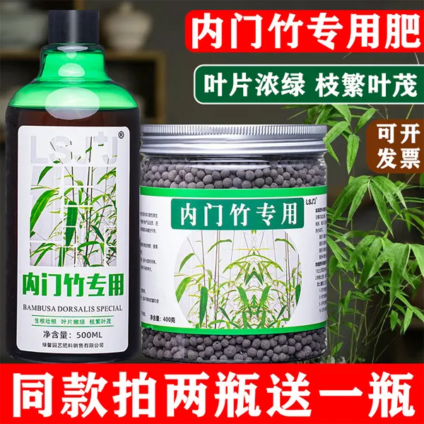 内门竹专用肥内门竹肥料盆栽室内盆景有机肥缓释颗粒水溶肥复合肥